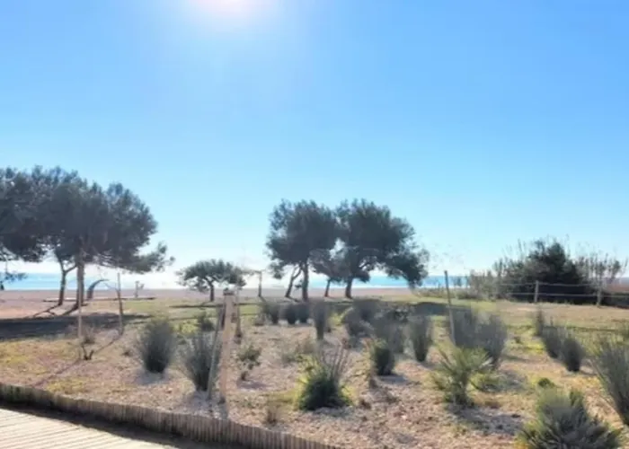 Duplex Mediterranea *