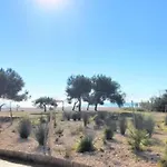 Duplex Mediterranea *